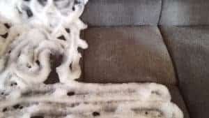 pulizia divani a domicilio